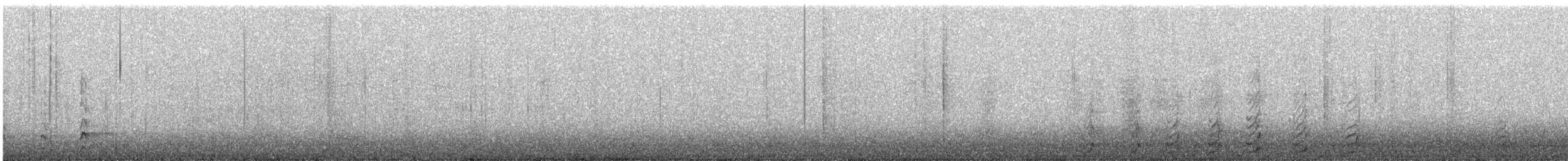 datel chocholatý - ML646323664