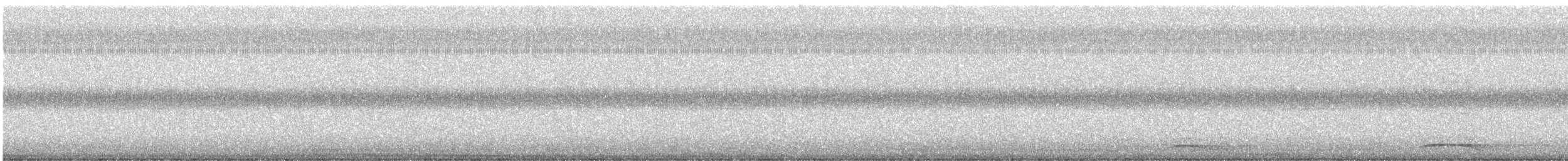 sokolec proměnlivý - ML646323668