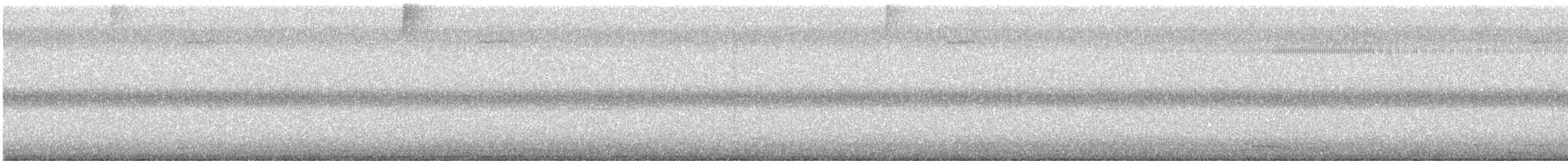 sokolec proměnlivý - ML646323669