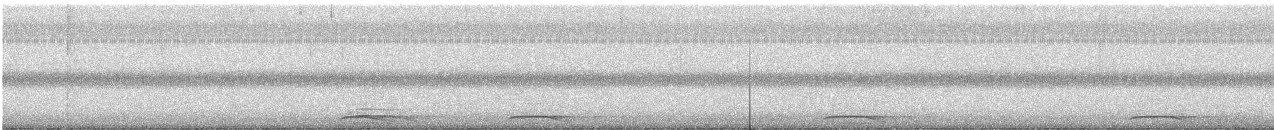 sokolec proměnlivý - ML646323670