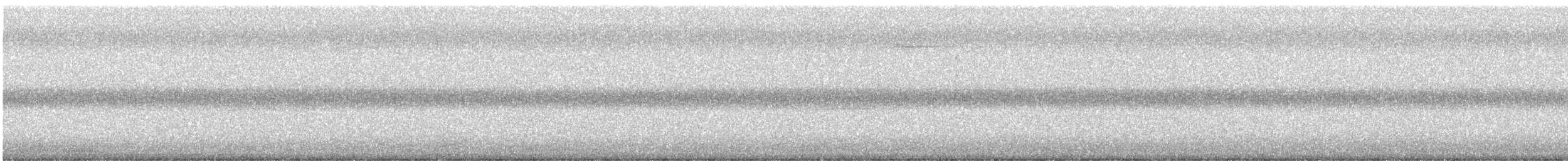 sokolec proměnlivý - ML646323673