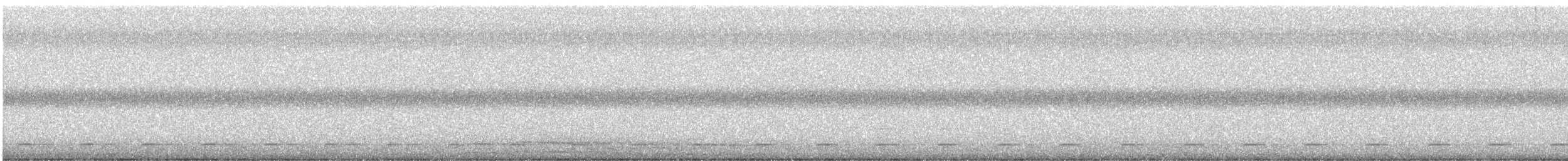 kulíšek brazilský - ML646323687