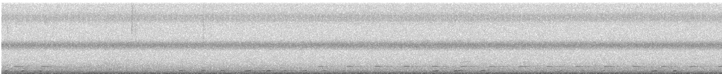 kulíšek brazilský - ML646323689