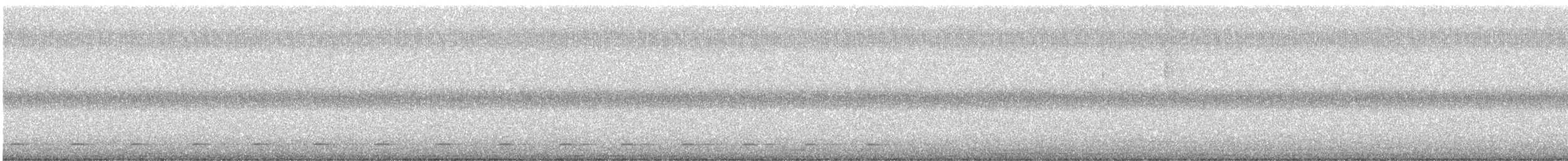 kulíšek brazilský - ML646323690