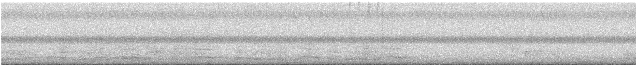 hvitbukhokko - ML646323701