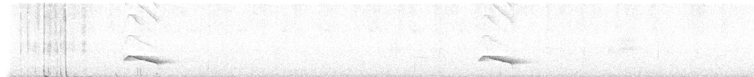 Ocellated Tapaculo - ML646325237