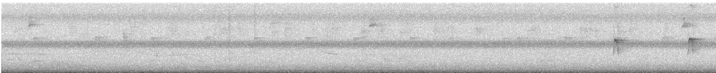 Yellow-bellied Flycatcher - ML646325579