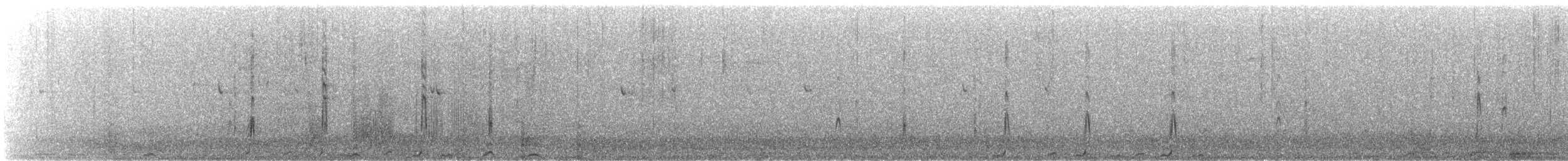 California Quail - ML646325937