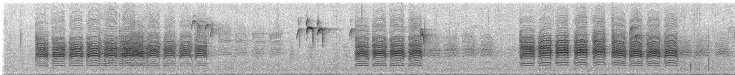 Black-capped Chickadee - ML646326313