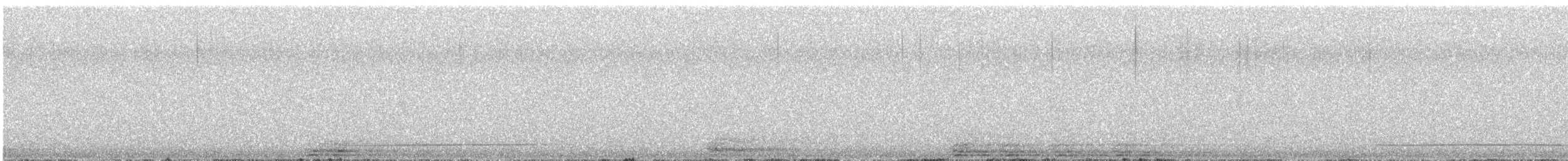 Northern Saw-whet Owl - ML646326502