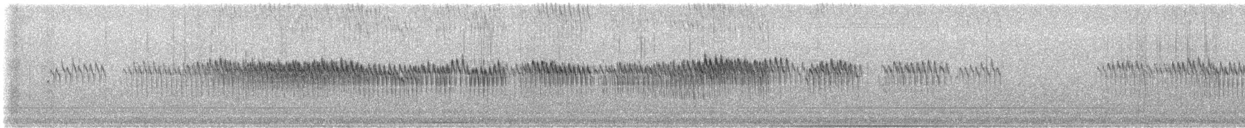 Buztanori boreala - ML646326635