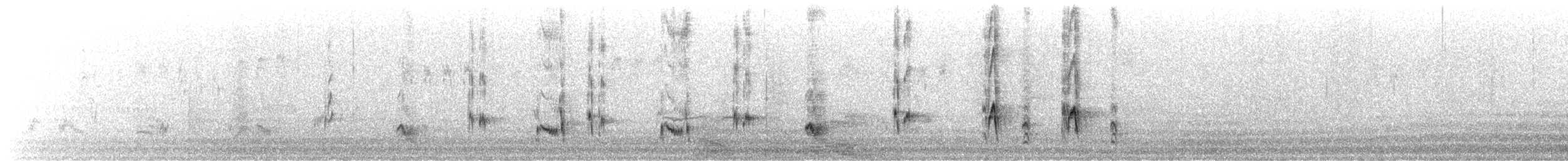 California Thrasher - ML646326986