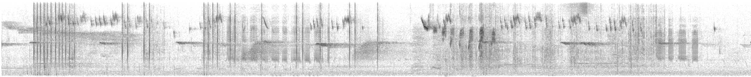 Blue-breasted Fairywren - ML646327811