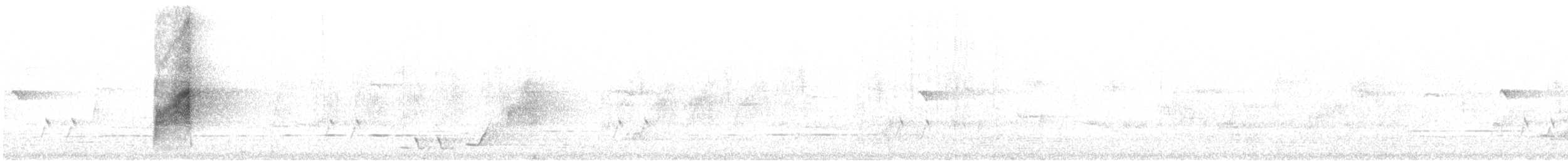 Restless Flycatcher - ML646327831