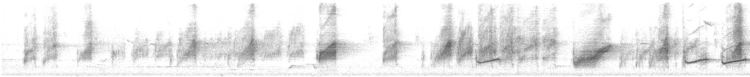 Restless Flycatcher - ML646327832