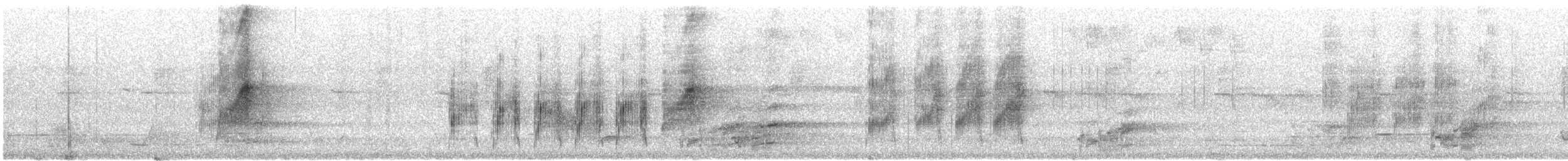 Restless Flycatcher - ML646327835