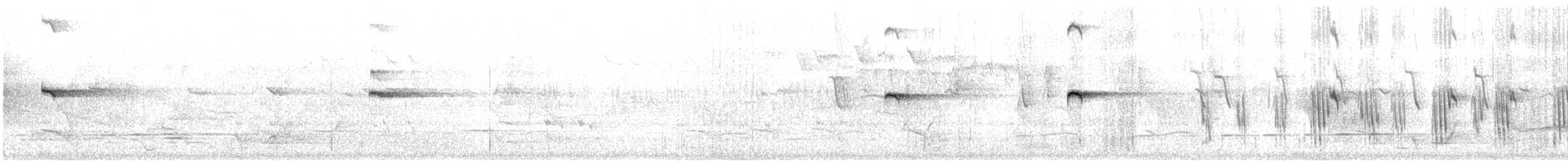 Katanar gorrizta - ML646327840