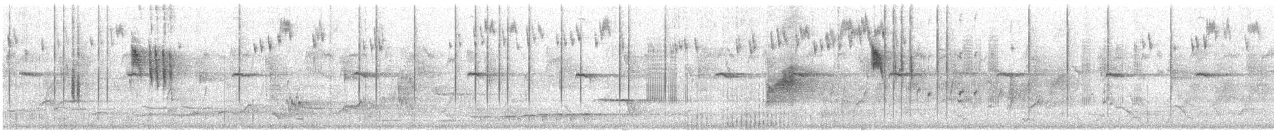 Blue-breasted Fairywren - ML646327842