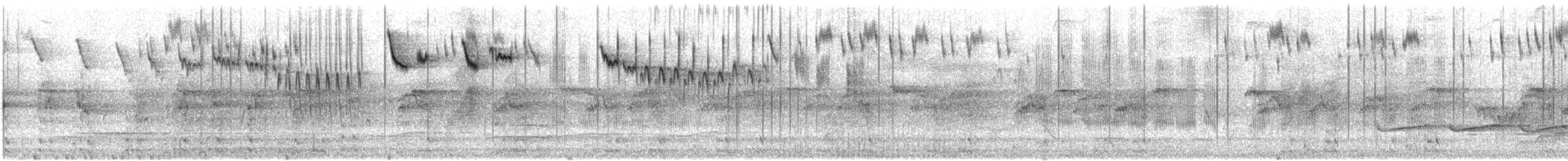 Blue-breasted Fairywren - ML646327843