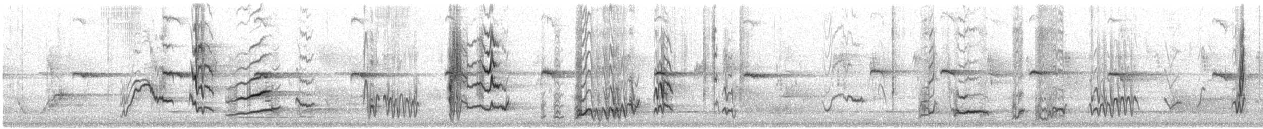 Dusky Woodswallow - ML646327849