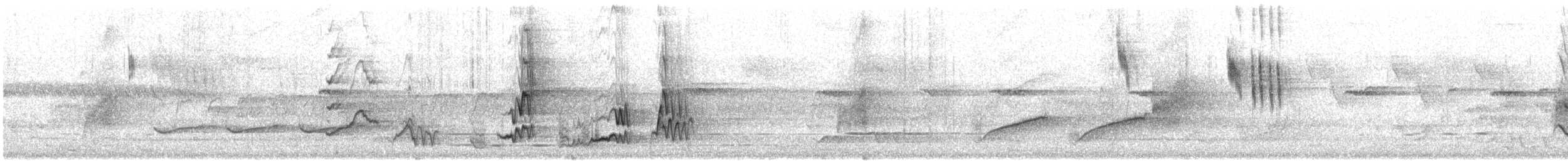 Dusky Woodswallow - ML646327852