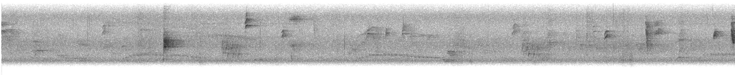 Northern Waterthrush - ML646328063