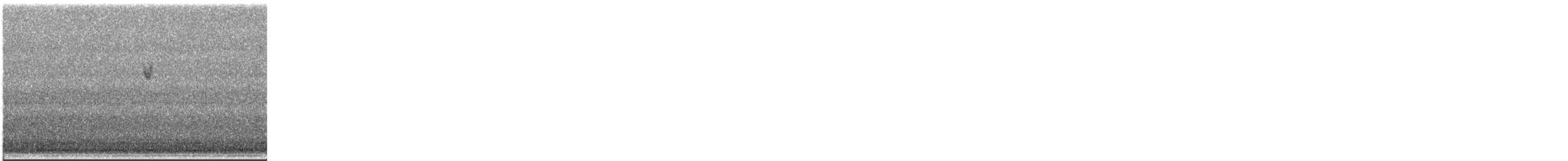 new world sparrow sp. - ML646328087