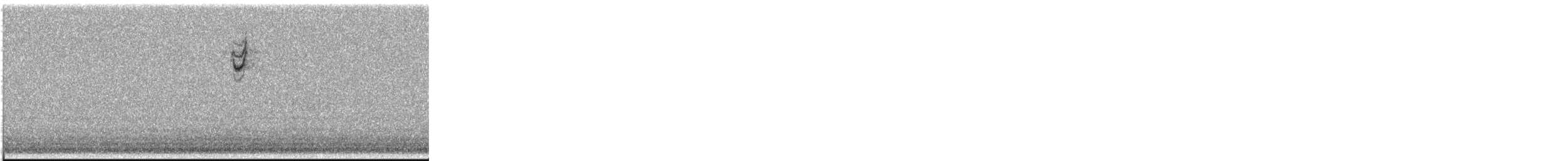 new world sparrow sp. - ML646328174