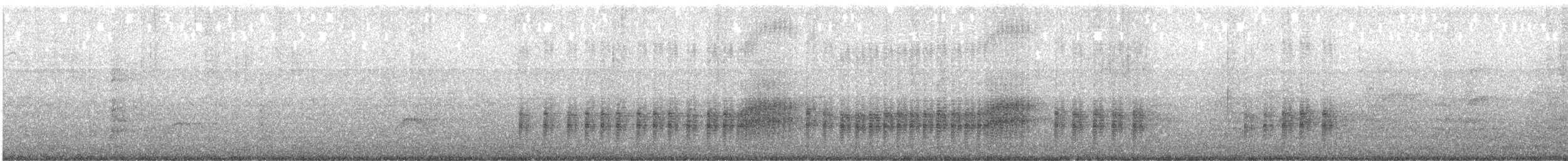 Rufous-tailed Plantcutter - ML646328404