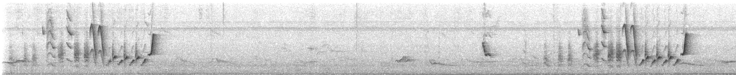 Southern House Wren - ML646328621