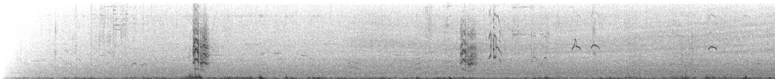 Elegant Tern - ML646328988