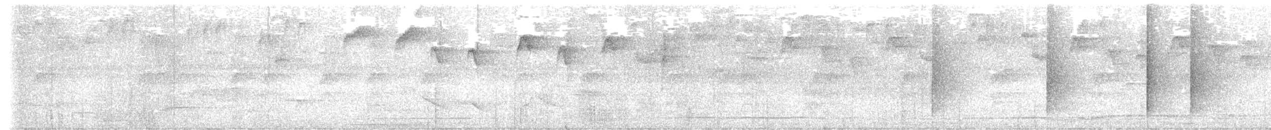 Golden-collared Manakin - ML646329039