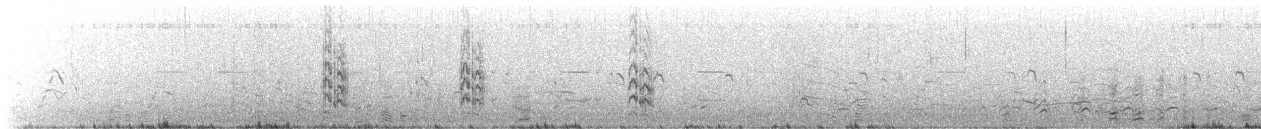 Elegant Tern - ML646329597