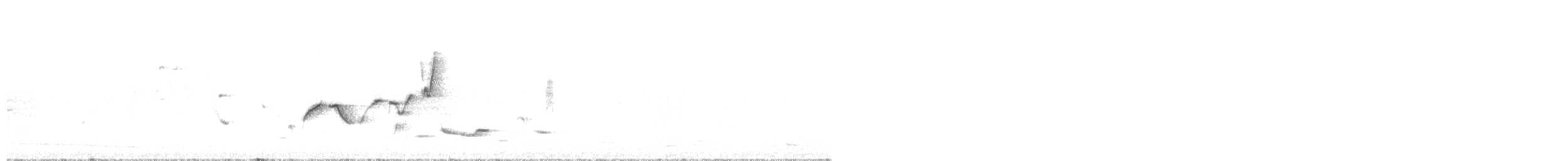 stumpnebb - ML646330759