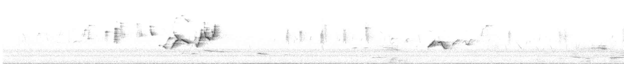 stumpnebb - ML646330837