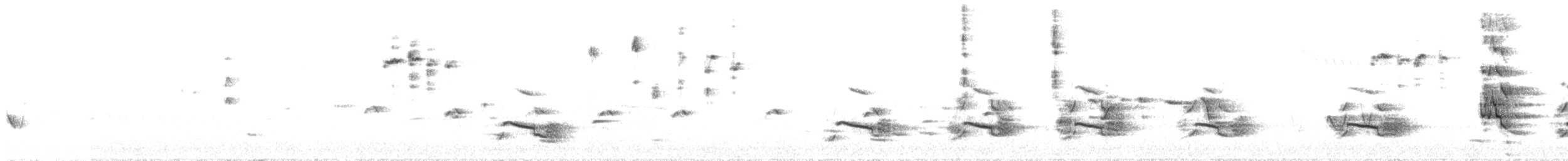 Yellow-tailed Black-Cockatoo - ML646330927