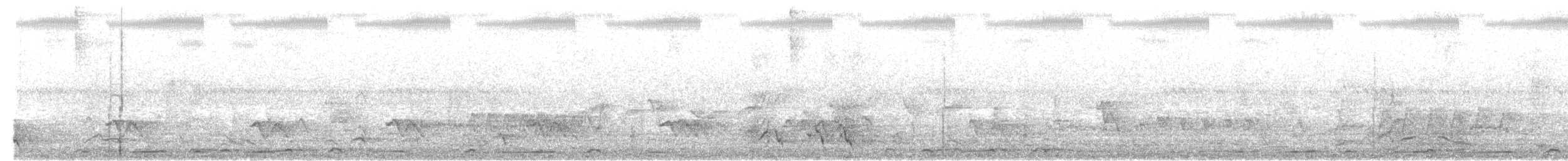 Helmlederkopf (gordoni/ammitophilus) - ML646331120