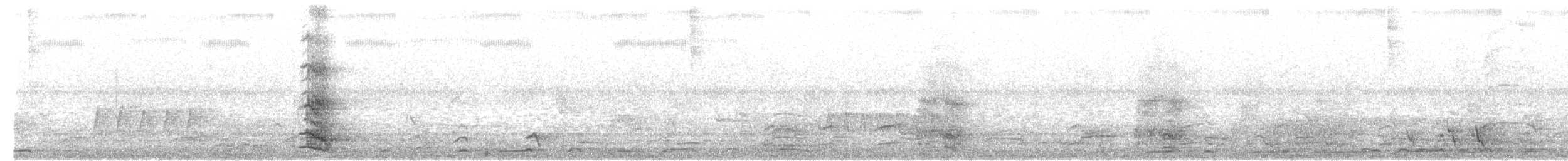 Helmlederkopf (gordoni/ammitophilus) - ML646331128