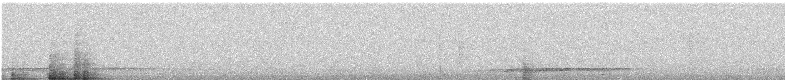 Asian Koel - ML646331422