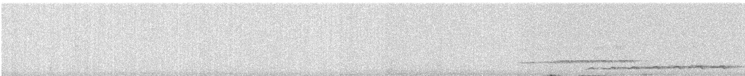 Asian Koel - ML646331428