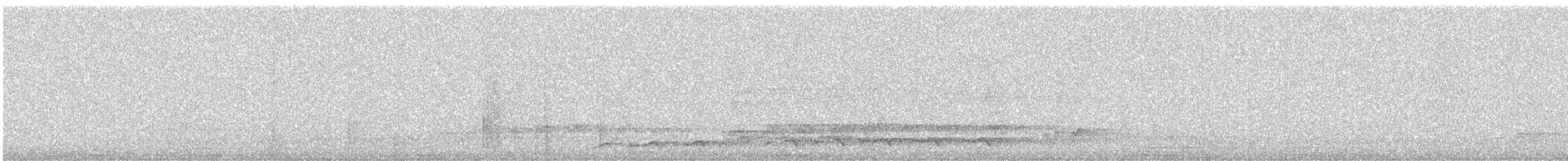 Asian Koel - ML646331430