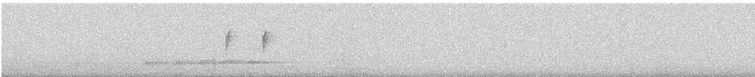 Asian Koel - ML646331434