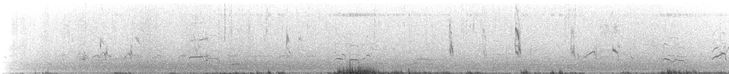 Western Sandpiper - ML646331435