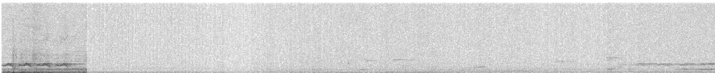 Asian Koel - ML646331480