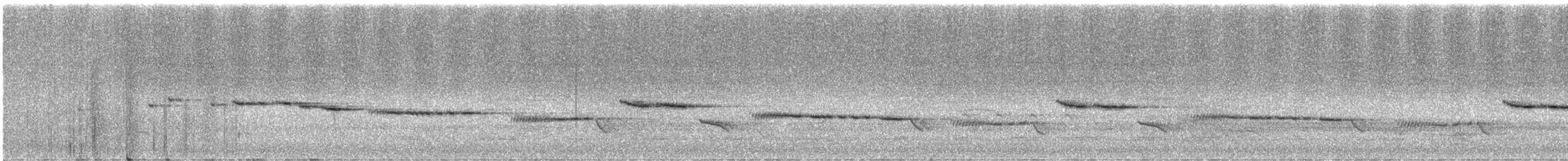 White-throated Gerygone - ML646331526