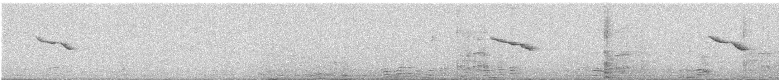 Oriental Magpie-Robin - ML646331528