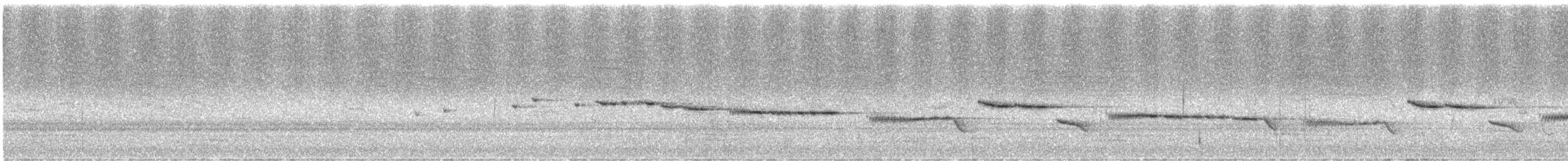 White-throated Gerygone - ML646331727