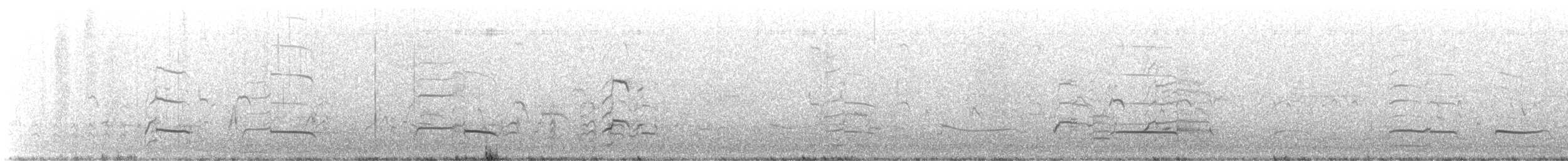 Willet (Western) - ML646331882