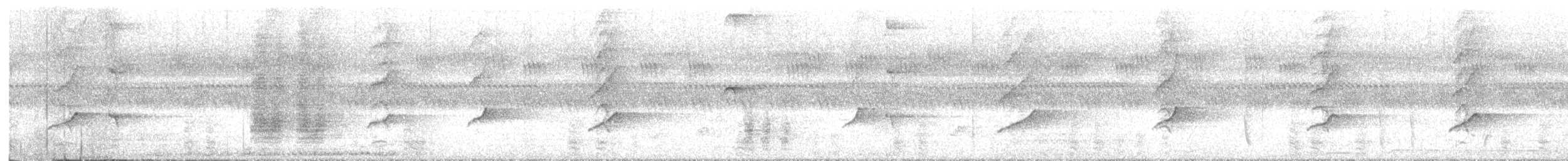 Hair-crested Drongo - ML646331957