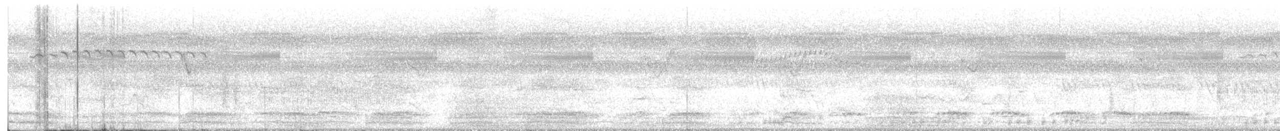 White-breasted Waterhen - ML646331997